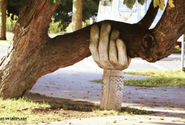 ערבות הדדית